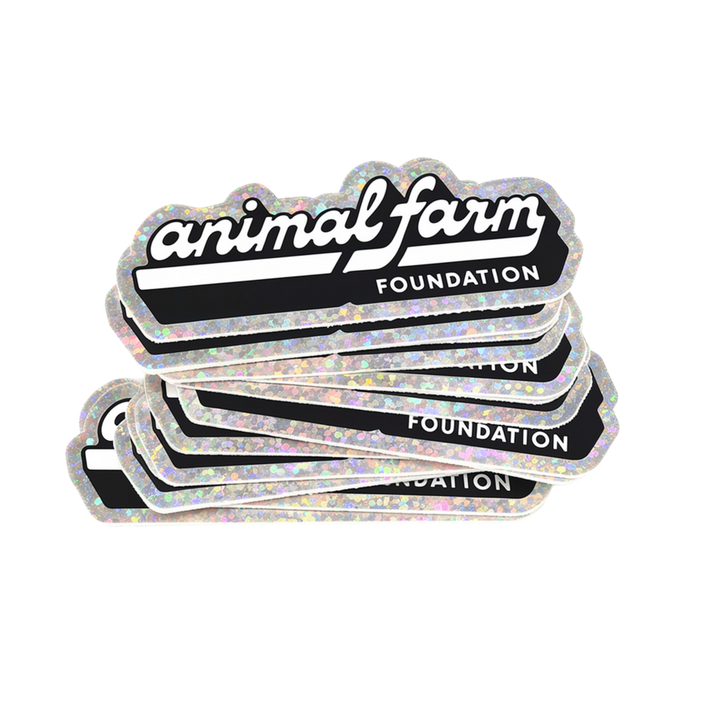 Mystery Sticker and Magnet Pack