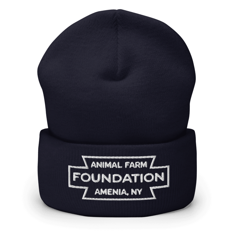 AFF Heritage Beanie