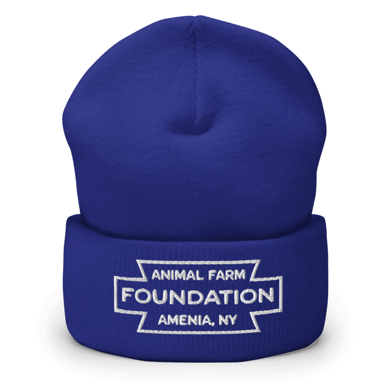 AFF Heritage Beanie