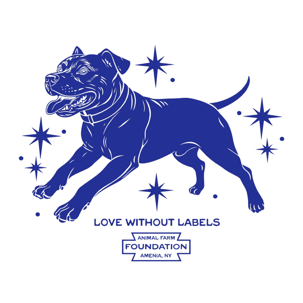 Love Without Labels (Pre-Order)